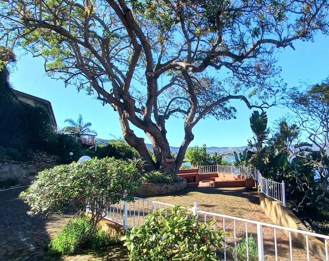 Phoenix Lodge And Waterside Accommodation Knysna Eksteriør billede